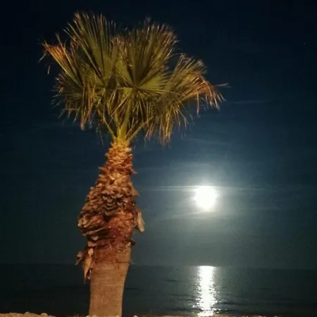 Marinador Josmar Oropesa del Mar